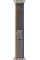 Apple Watch Ultra 49mm Titanium Case with Blue/Gray Trail Loop M/L